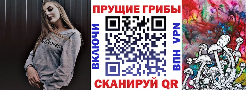 hydra ССЫЛКА  как найти   Мураши  Псилоцибиновые грибы MAGIC MUSHROOMS 